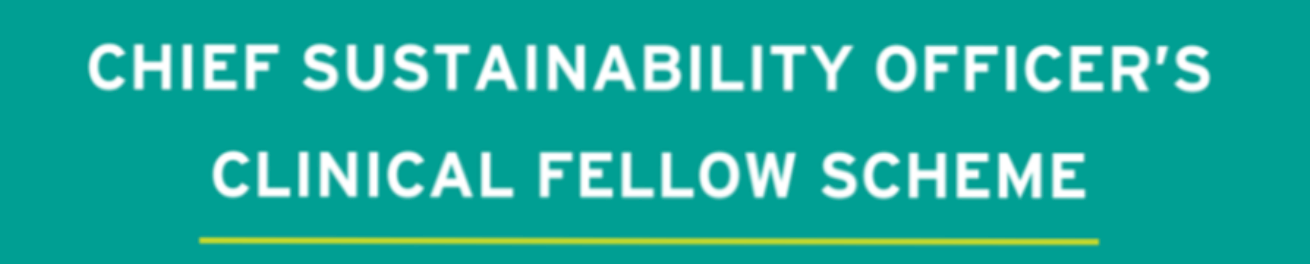 Chief Sustainability Officers Clinical Fellow Scheme.png